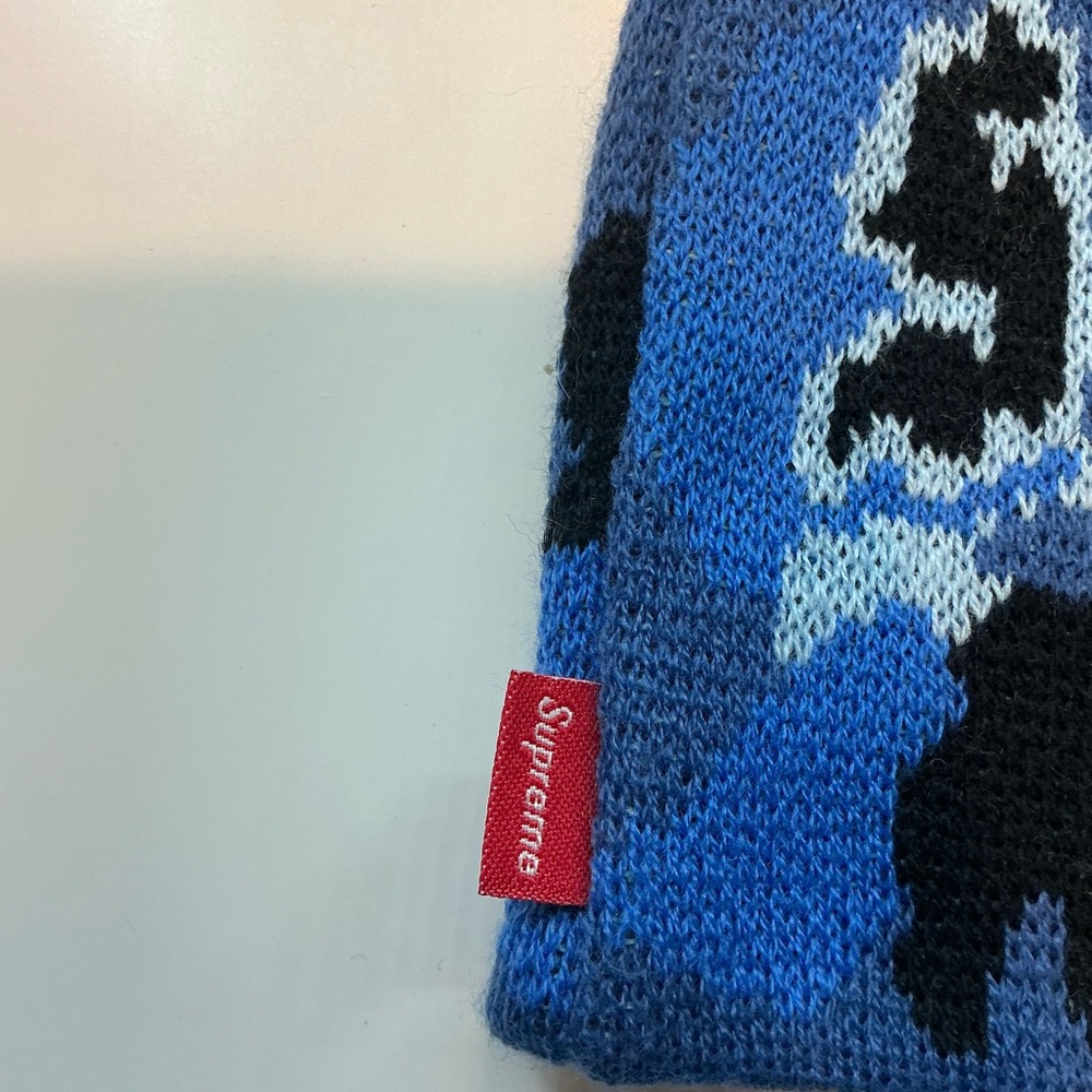 Supreme Paris Camo Beanie - Picture 3 of 5